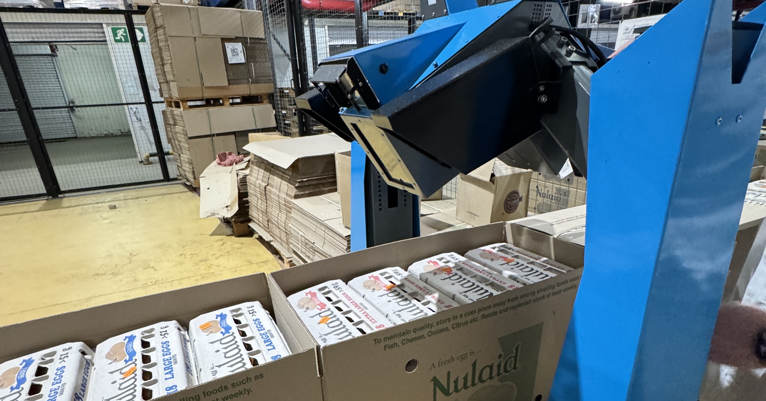 realcount.ai - Machine Vision Counting - Egg Box Scanner